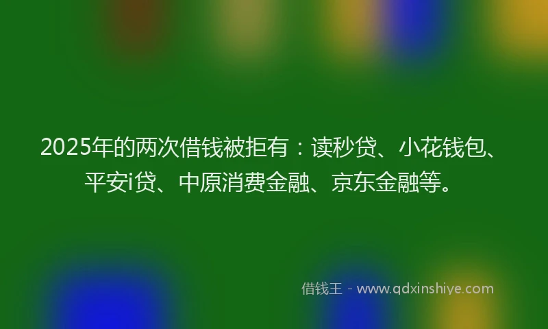 2025年的两次借钱被拒有：读秒贷、小花钱包、平安i贷、中原消费金融、京东金融等。