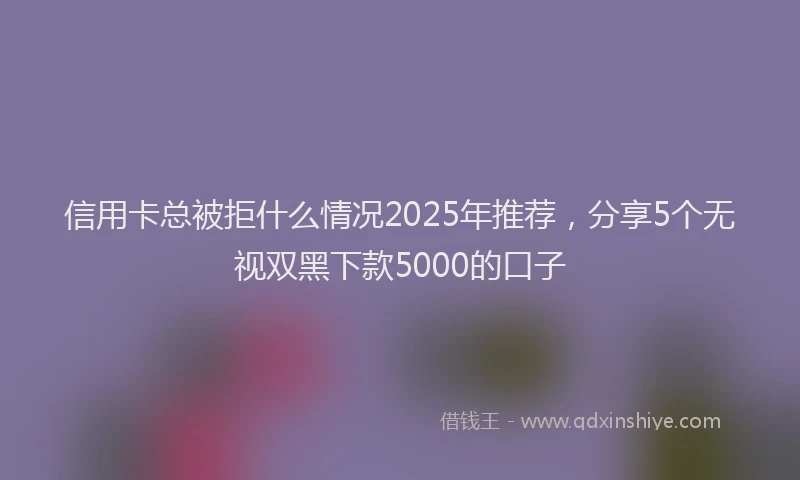信用卡总被拒什么情况2025年推荐，分享5个无视双黑下款5000的口子
