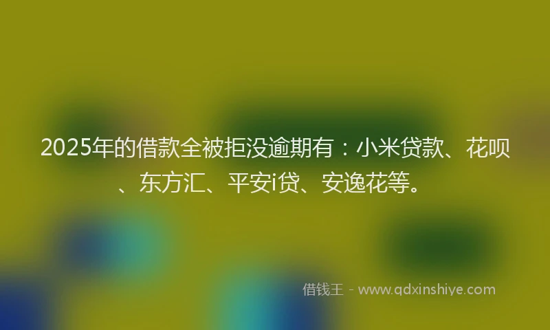2025年的借款全被拒没逾期有：小米贷款、花呗、东方汇、平安i贷、安逸花等。