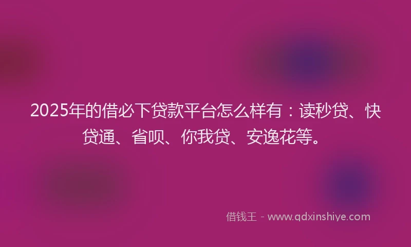 2025年的借必下贷款平台怎么样有：读秒贷、快贷通、省呗、你我贷、安逸花等。