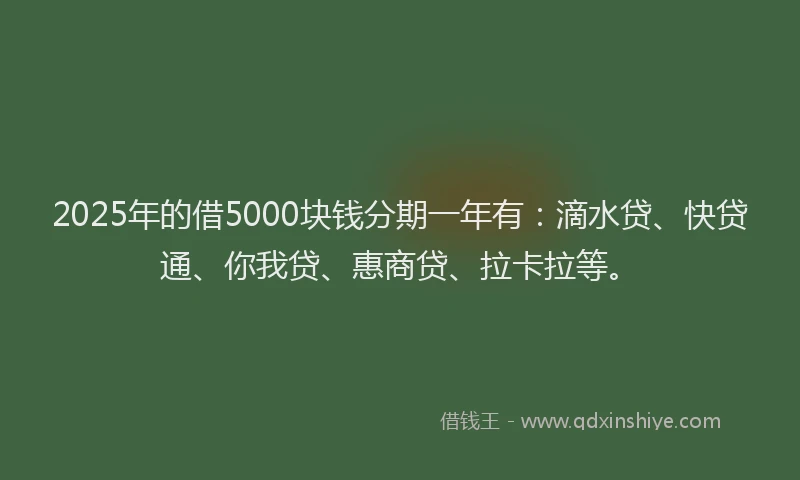 2025年的借5000块钱分期一年有：滴水贷、快贷通、你我贷、惠商贷、拉卡拉等。