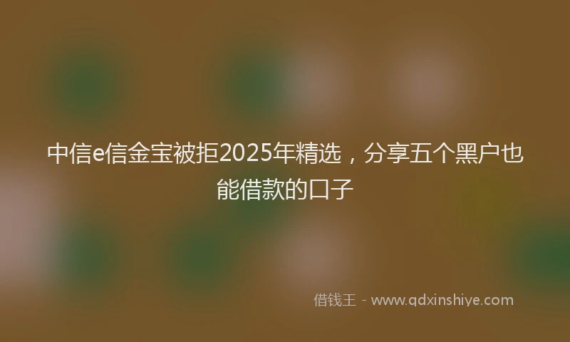 中信e信金宝被拒2025年精选，分享五个黑户也能借款的口子