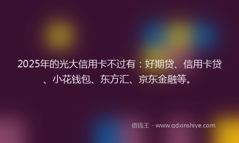 2025年的光大信用卡不过有：好期贷、信用卡贷、小花钱包、东方汇、京东金融等。