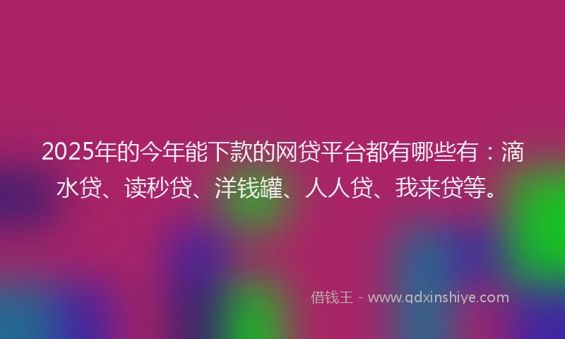 2025年的今年能下款的网贷平台都有哪些有：滴水贷、读秒贷、洋钱罐、人人贷、我来贷等。