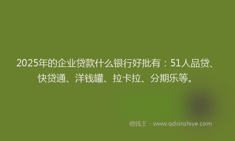 2025年的企业贷款什么银行好批有：51人品贷、快贷通、洋钱罐、拉卡拉、分期乐等。