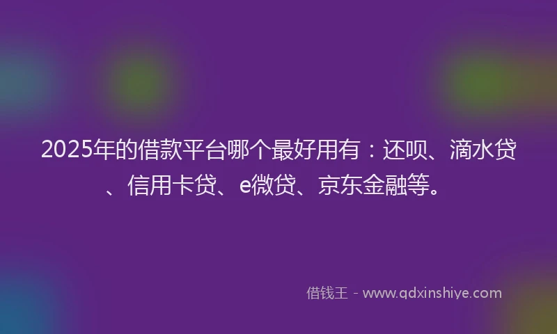 2025年的借款平台哪个最好用有：还呗、滴水贷、信用卡贷、e微贷、京东金融等。
