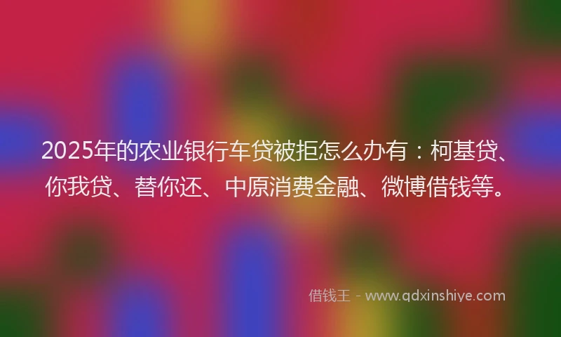 2025年的农业银行车贷被拒怎么办有：柯基贷、你我贷、替你还、中原消费金融、微博借钱等。