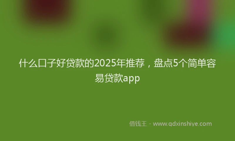 什么口子好贷款的2025年推荐，盘点5个简单容易贷款app