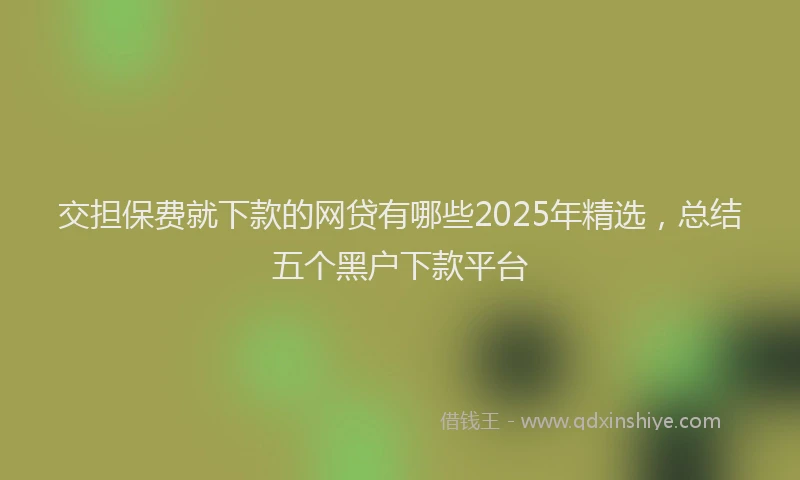交担保费就下款的网贷有哪些2025年精选，总结五个黑户下款平台