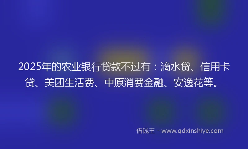2025年的农业银行贷款不过有：滴水贷、信用卡贷、美团生活费、中原消费金融、安逸花等。