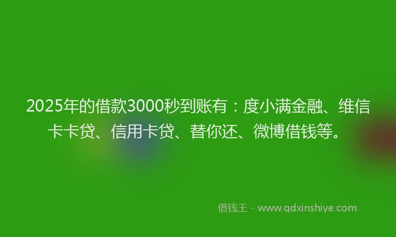 2025年的借款3000秒到账有：度小满金融、维信卡卡贷、信用卡贷、替你还、微博借钱等。