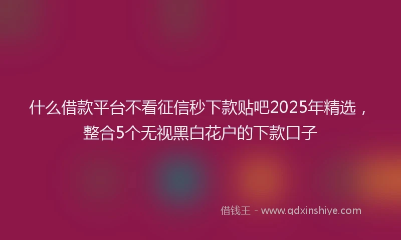 什么借款平台不看征信秒下款贴吧2025年精选，整合5个无视黑白花户的下款口子