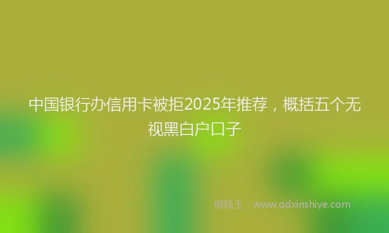 中国银行办信用卡被拒2025年推荐，概括五个无视黑白户口子