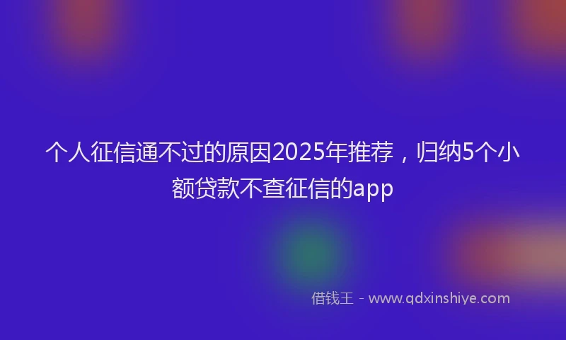 个人征信通不过的原因2025年推荐，归纳5个小额贷款不查征信的app