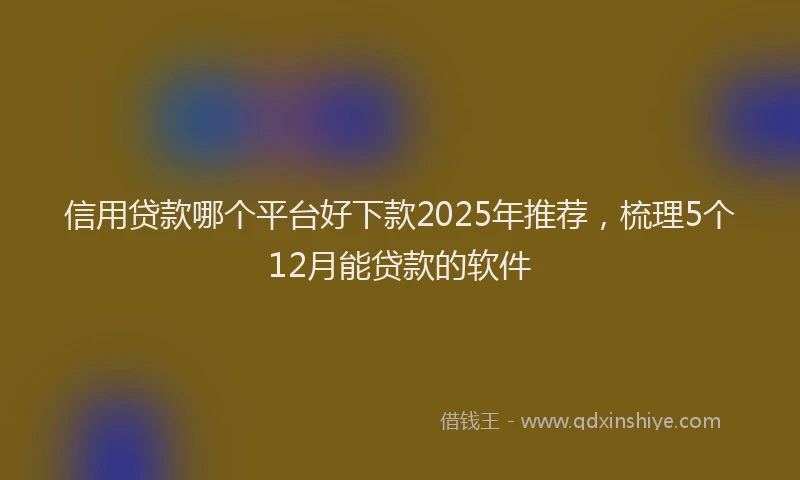 信用贷款哪个平台好下款2025年推荐，梳理5个12月能贷款的软件