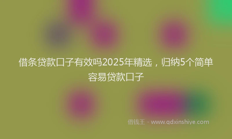 借条贷款口子有效吗2025年精选，归纳5个简单容易贷款口子