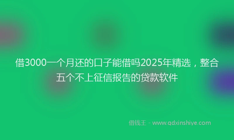 借3000一个月还的口子能借吗2025年精选，整合五个不上征信报告的贷款软件