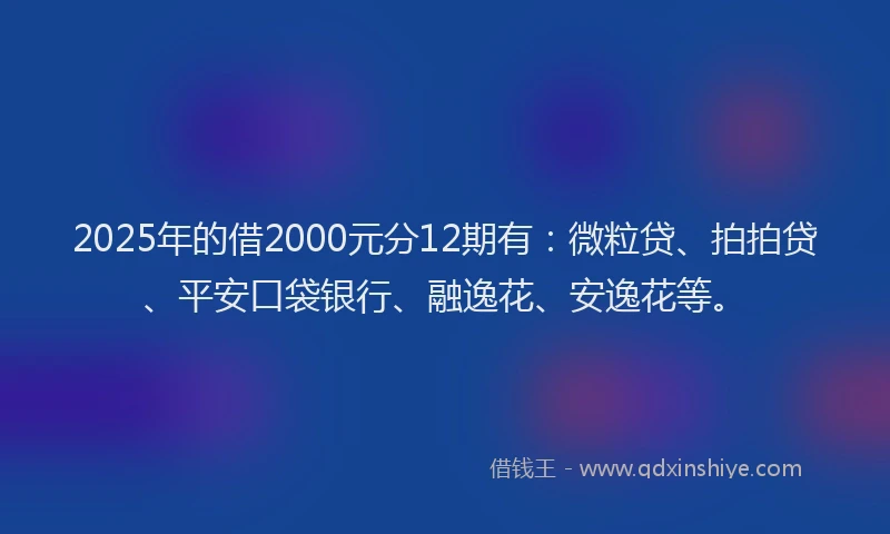 2025年的借2000元分12期有：微粒贷、拍拍贷、平安口袋银行、融逸花、安逸花等。