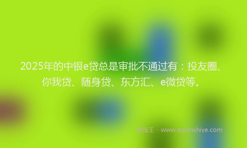 2025年的中银e贷总是审批不通过有：投友圈、你我贷、随身贷、东方汇、e微贷等。