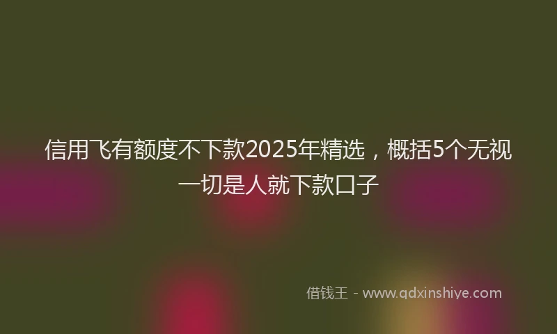 信用飞有额度不下款2025年精选，概括5个无视一切是人就下款口子