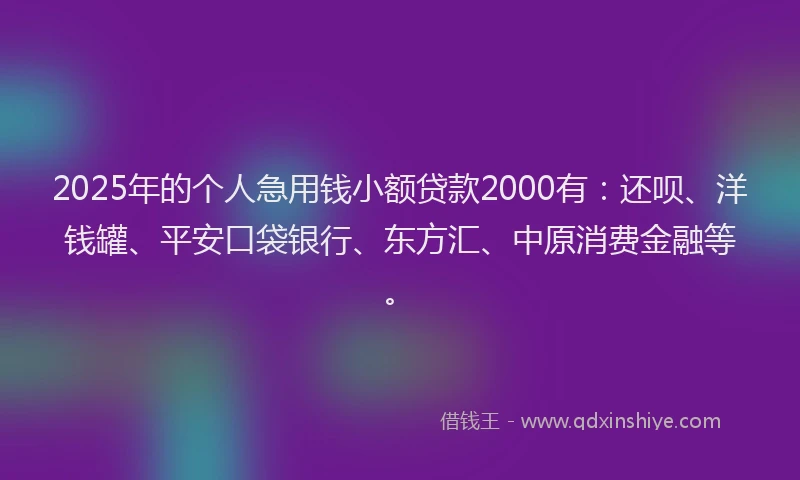 2025年的个人急用钱小额贷款2000有：还呗、洋钱罐、平安口袋银行、东方汇、中原消费金融等。