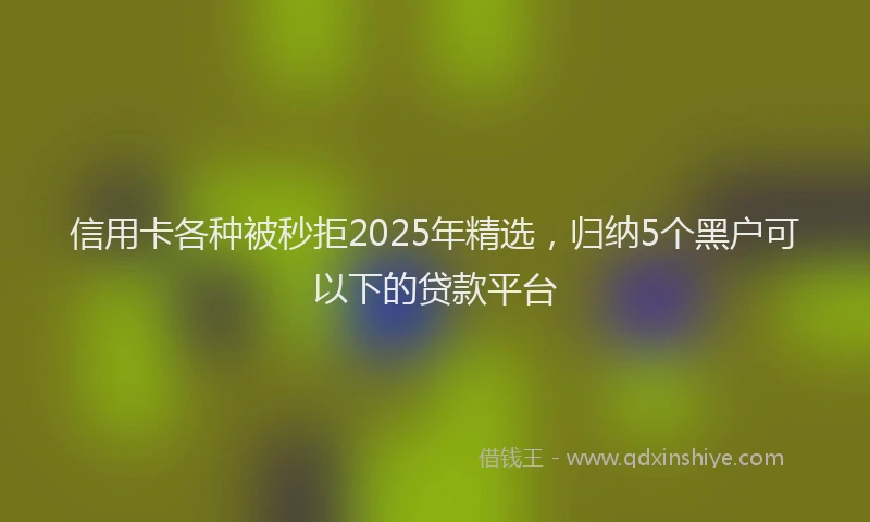 信用卡各种被秒拒2025年精选，归纳5个黑户可以下的贷款平台