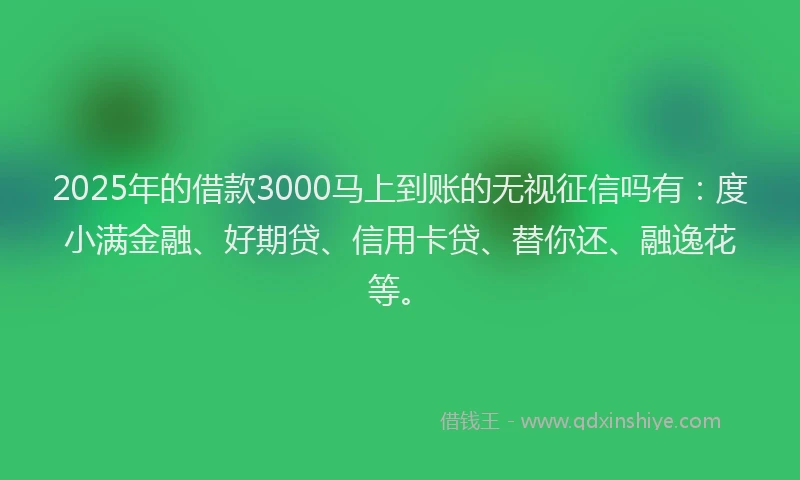 2025年的借款3000马上到账的无视征信吗有：度小满金融、好期贷、信用卡贷、替你还、融逸花等。