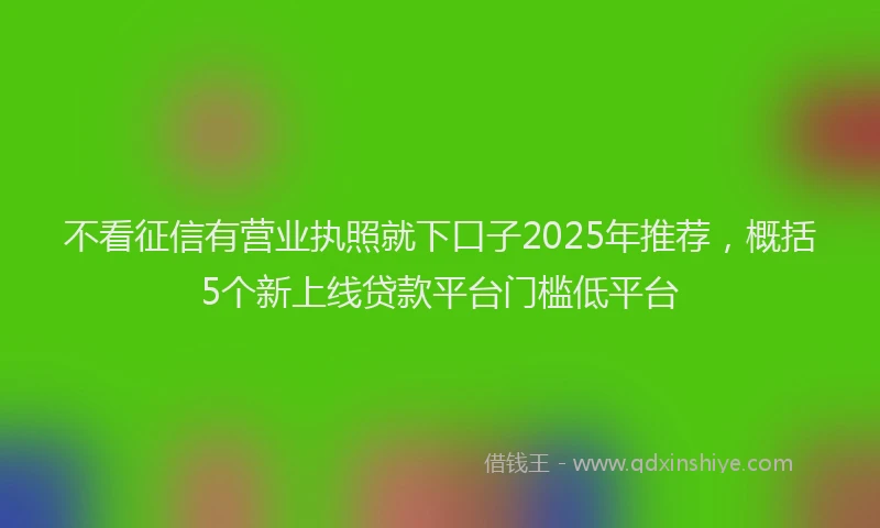 不看征信有营业执照就下口子2025年推荐，概括5个新上线贷款平台门槛低平台