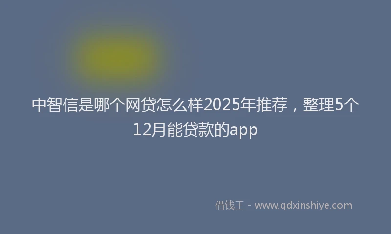 中智信是哪个网贷怎么样2025年推荐，整理5个12月能贷款的app