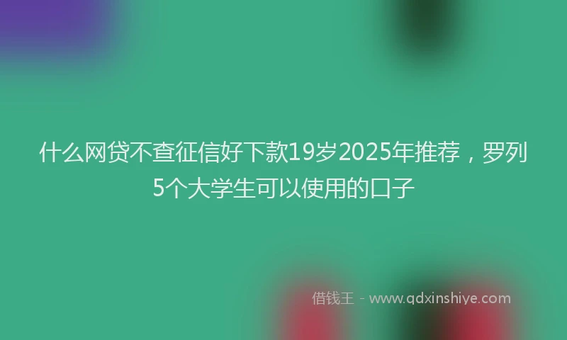 什么网贷不查征信好下款19岁2025年推荐，罗列5个大学生可以使用的口子