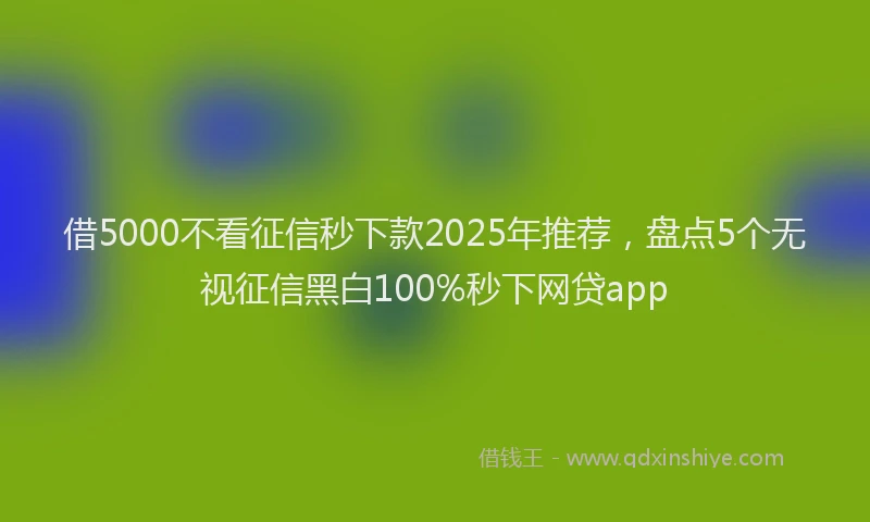 借5000不看征信秒下款2025年推荐，盘点5个无视征信黑白100%秒下网贷app