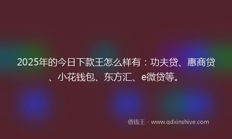 2025年的今日下款王怎么样有：功夫贷、惠商贷、小花钱包、东方汇、e微贷等。