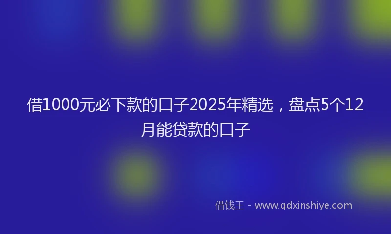 借1000元必下款的口子2025年精选，盘点5个12月能贷款的口子