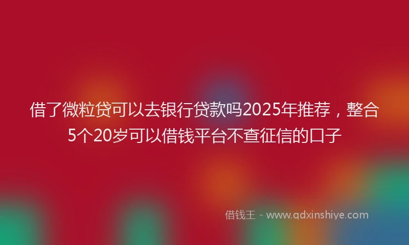 借了微粒贷可以去银行贷款吗2025年推荐，整合5个20岁可以借钱平台不查征信的口子