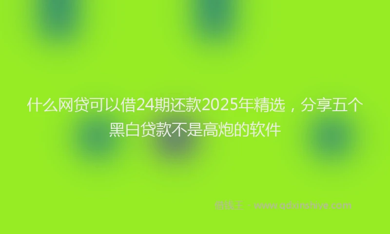 什么网贷可以借24期还款2025年精选，分享五个黑白贷款不是高炮的软件