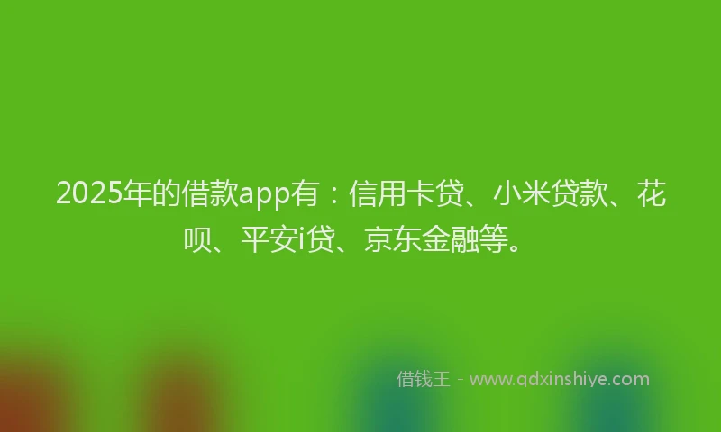2025年的借款app有：信用卡贷、小米贷款、花呗、平安i贷、京东金融等。