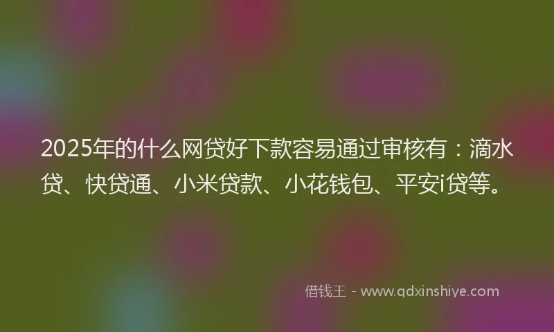 2025年的什么网贷好下款容易通过审核有：滴水贷、快贷通、小米贷款、小花钱包、平安i贷等。