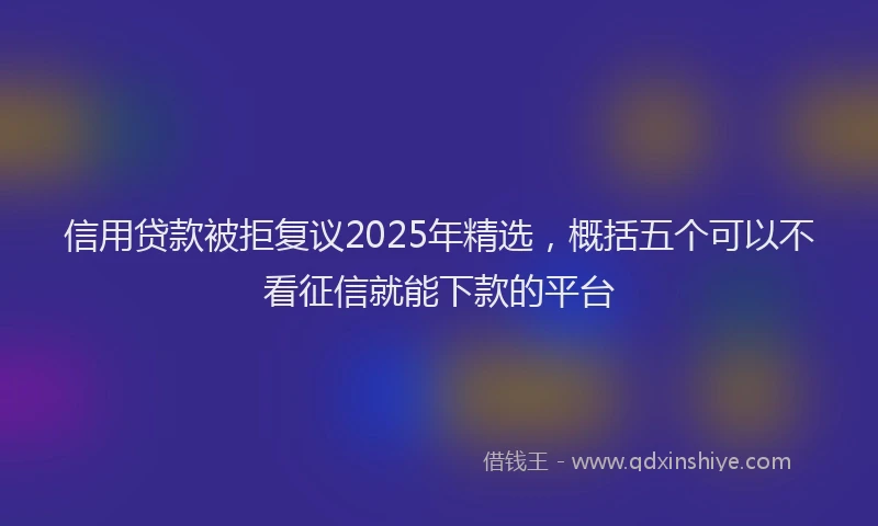 信用贷款被拒复议2025年精选，概括五个可以不看征信就能下款的平台