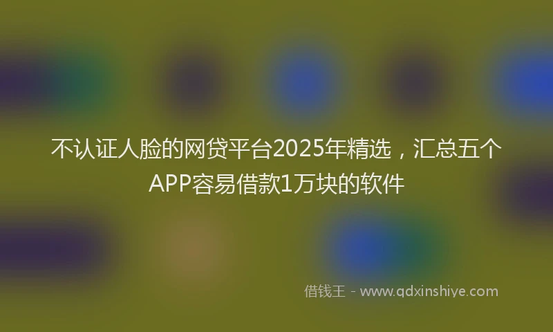 不认证人脸的网贷平台2025年精选，汇总五个APP容易借款1万块的软件