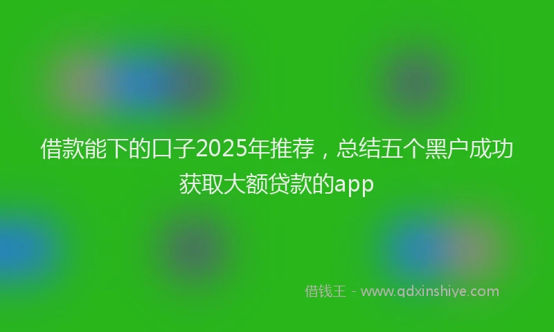 借款能下的口子2025年推荐，总结五个黑户成功获取大额贷款的app