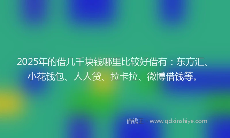 2025年的借几千块钱哪里比较好借有：东方汇、小花钱包、人人贷、拉卡拉、微博借钱等。