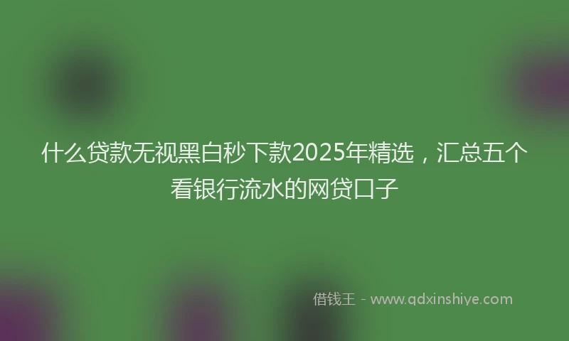 什么贷款无视黑白秒下款2025年精选，汇总五个看银行流水的网贷口子
