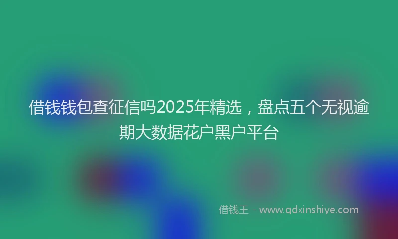 借钱钱包查征信吗2025年精选，盘点五个无视逾期大数据花户黑户平台