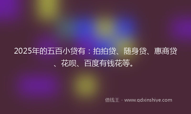 2025年的五百小贷有：拍拍贷、随身贷、惠商贷、花呗、百度有钱花等。