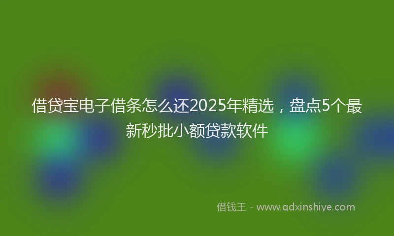 借贷宝电子借条怎么还2025年精选，盘点5个最新秒批小额贷款软件