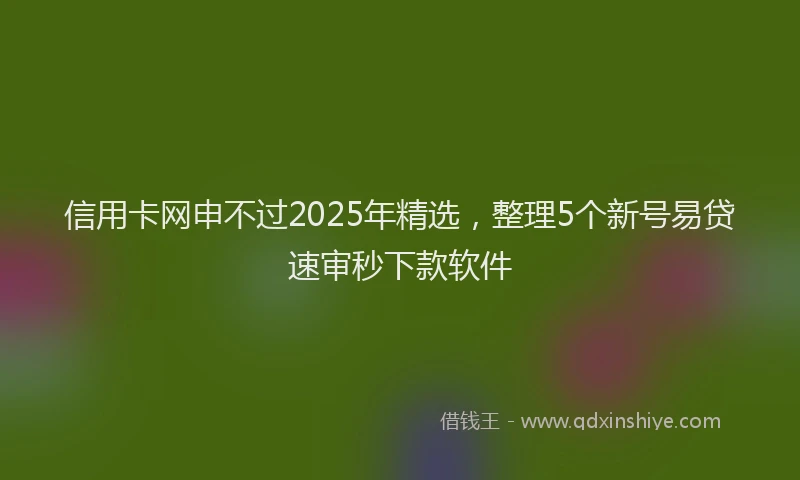 信用卡网申不过2025年精选，整理5个新号易贷速审秒下款软件