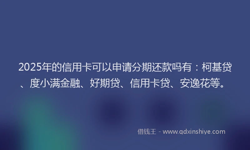 2025年的信用卡可以申请分期还款吗有：柯基贷、度小满金融、好期贷、信用卡贷、安逸花等。