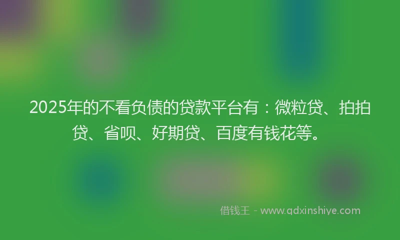 2025年的不看负债的贷款平台有：微粒贷、拍拍贷、省呗、好期贷、百度有钱花等。