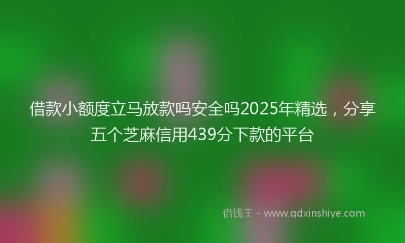 借款小额度立马放款吗安全吗2025年精选，分享五个芝麻信用439分下款的平台