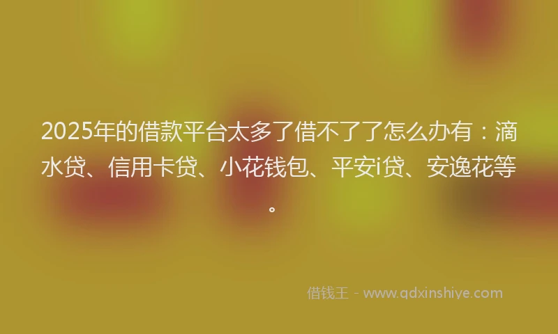 2025年的借款平台太多了借不了了怎么办有：滴水贷、信用卡贷、小花钱包、平安i贷、安逸花等。